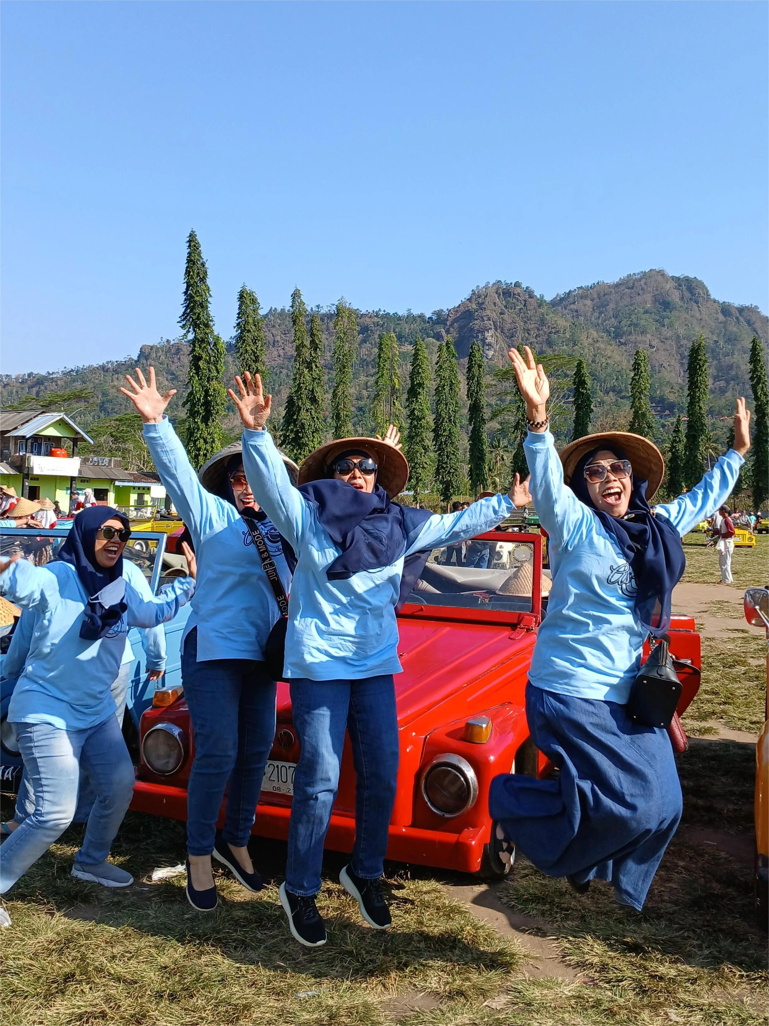 vw tour borobudur image